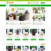 thiết kế website bán chậu cây cảnh văn phòng